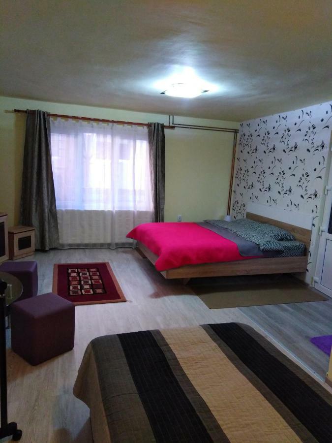 فندق Casa Cu Butoi سوفاتا المظهر الخارجي الصورة